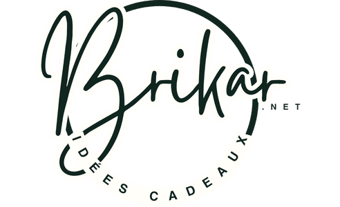 logo brikar.net
